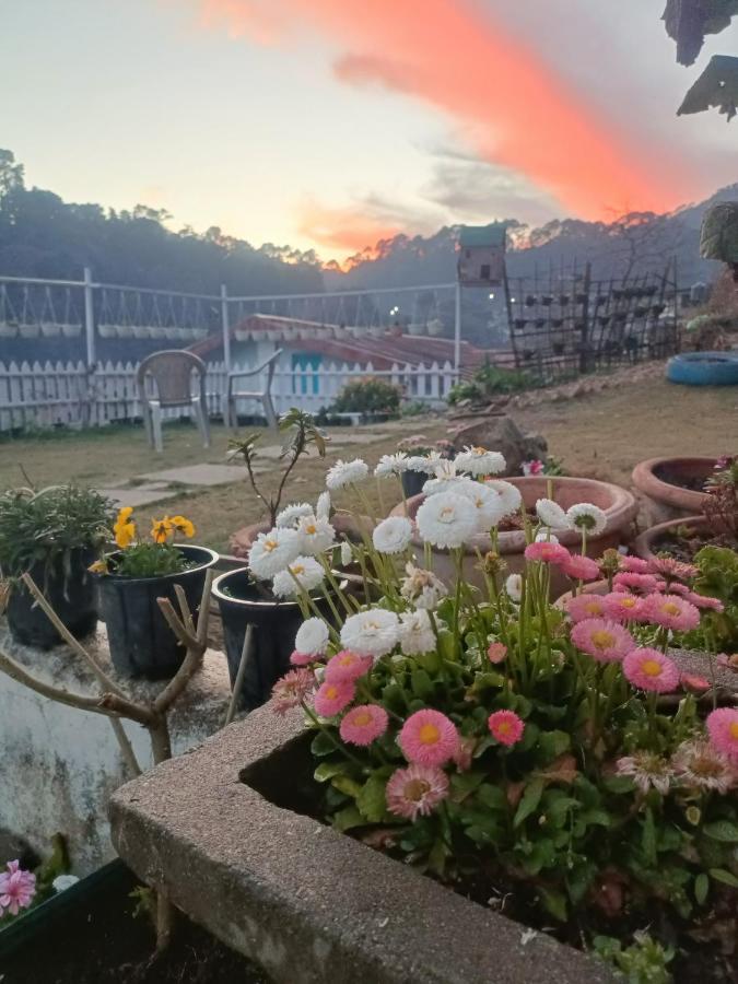Mohraj Home Stay Bhowali Экстерьер фото