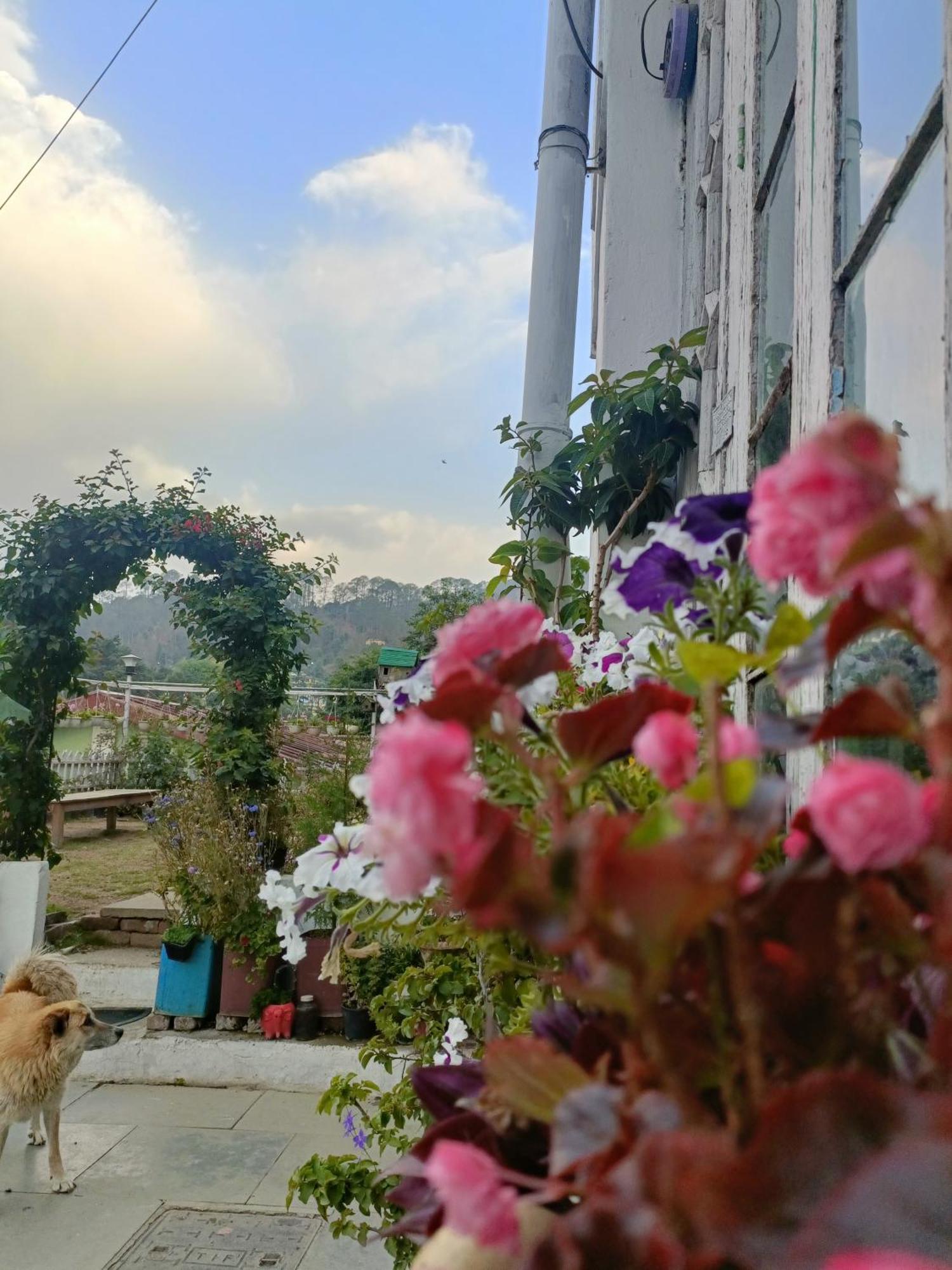 Mohraj Home Stay Bhowali Экстерьер фото